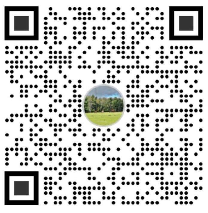 QR Code Solomon Saleem